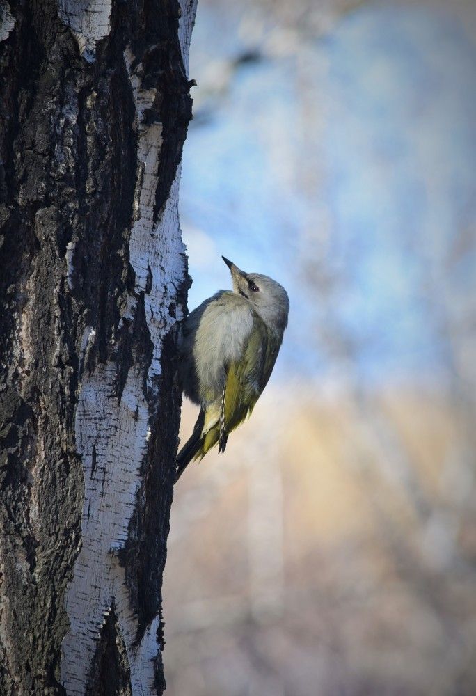Photograph by Наталья Ченчикова