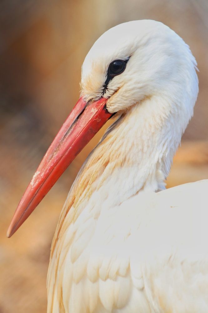 The beauty of nature