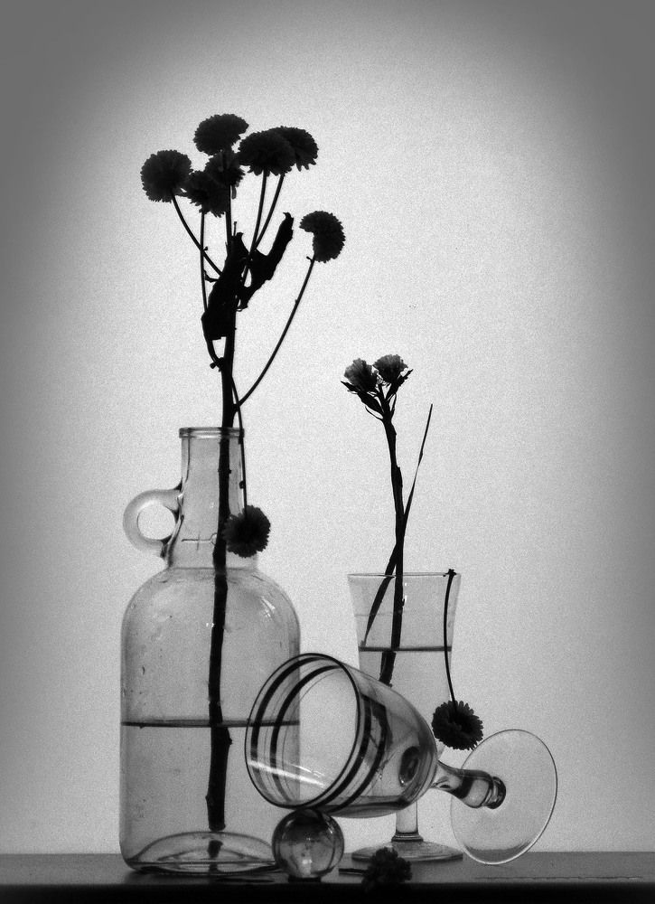 Photograph by 