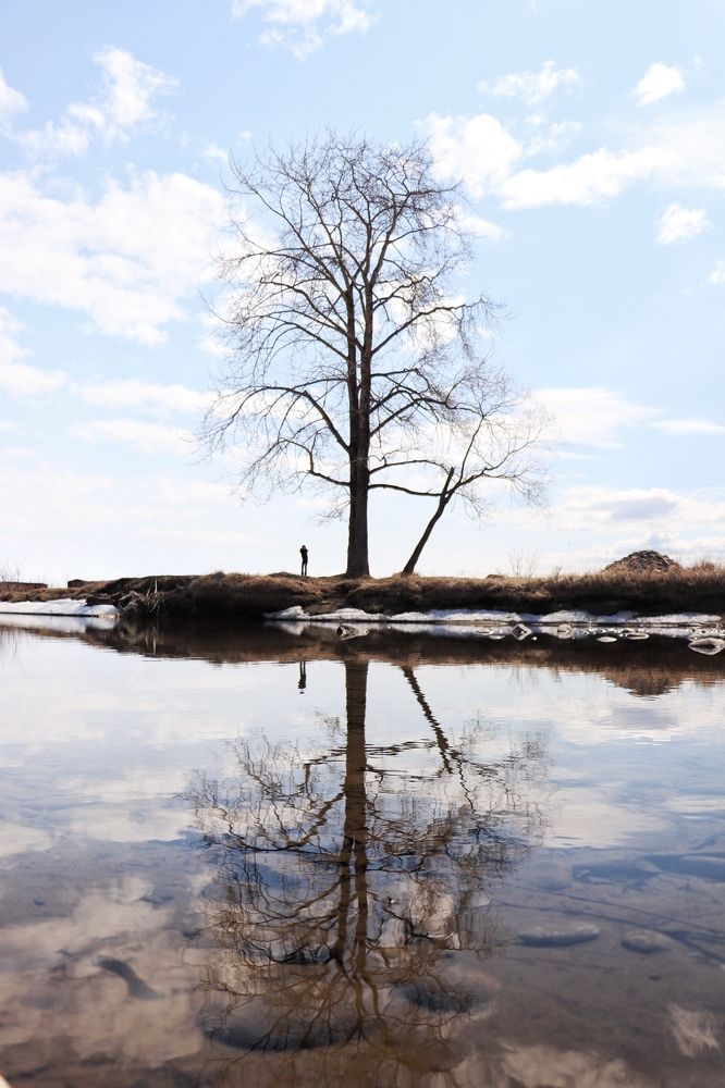 Photograph by Татьяна Кужлекова