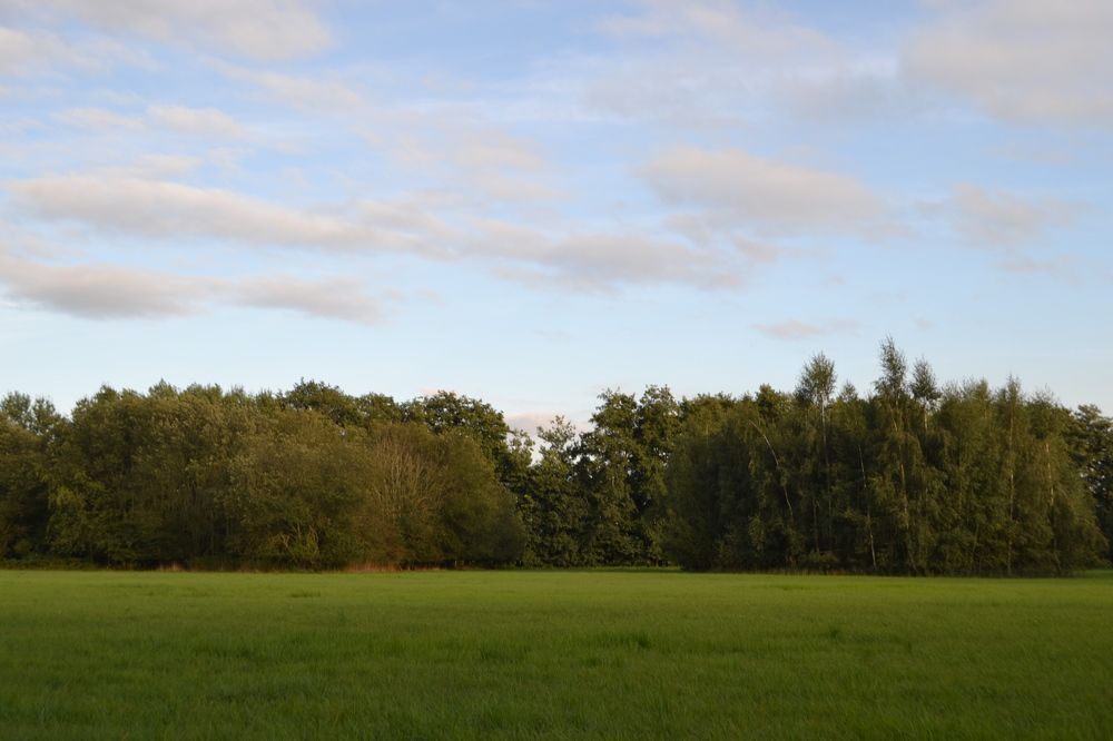 Photograph by Николай Виртос