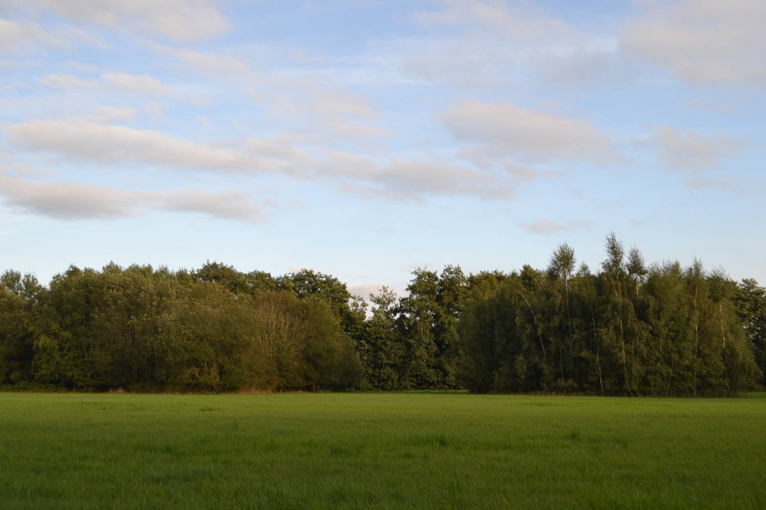 Photo #10580811