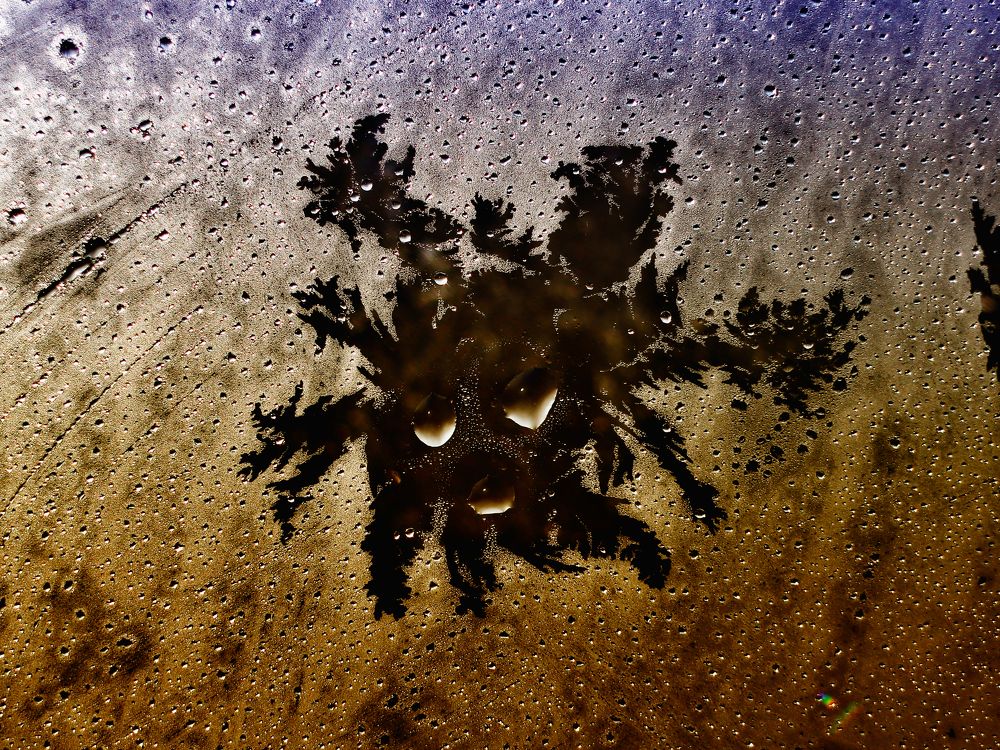 Photograph by Виктор Егоров