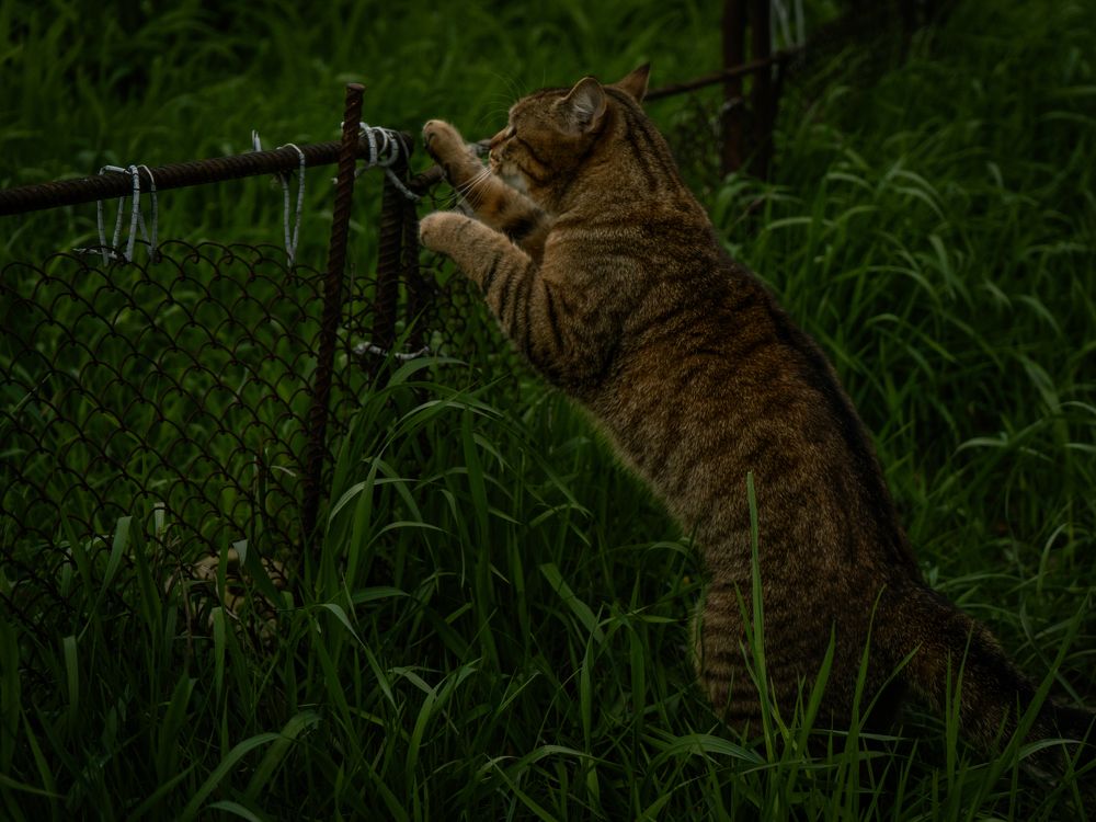 Photograph by Людмила
