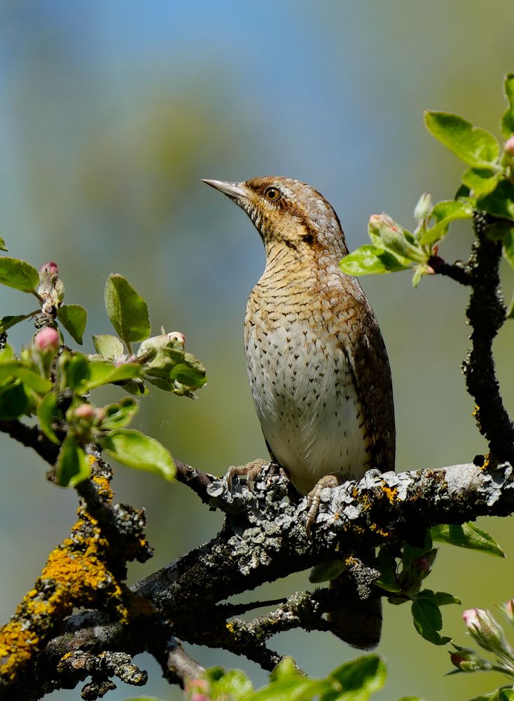 Photograph by Ольга Шугалевская