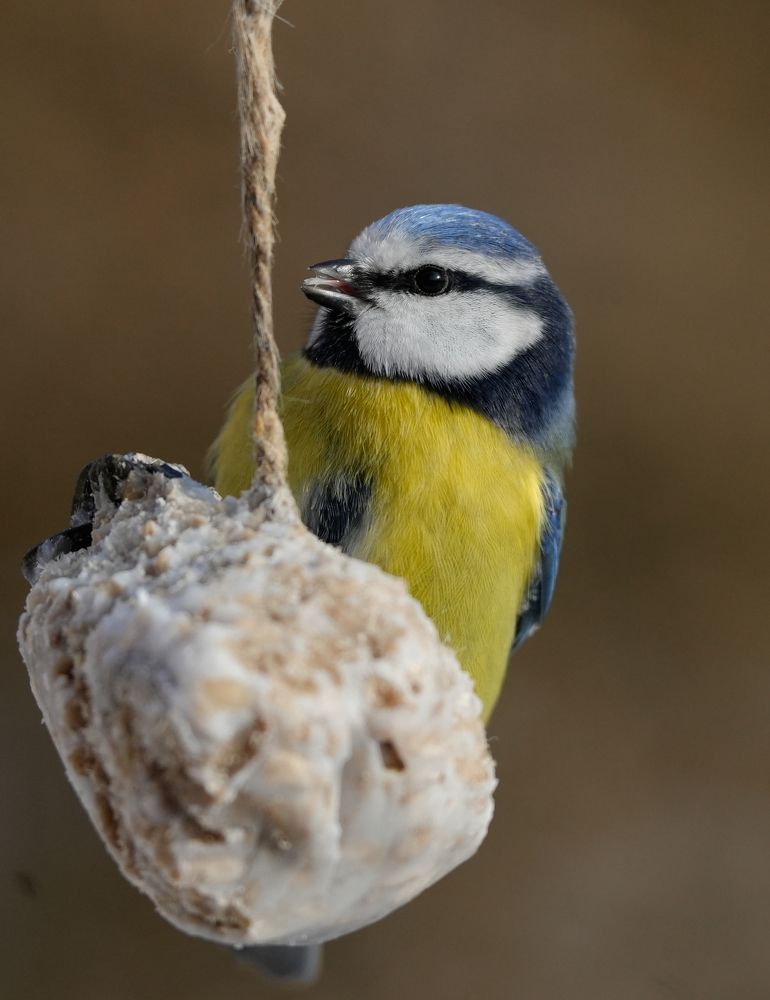 Photograph by Ольга Шугалевская