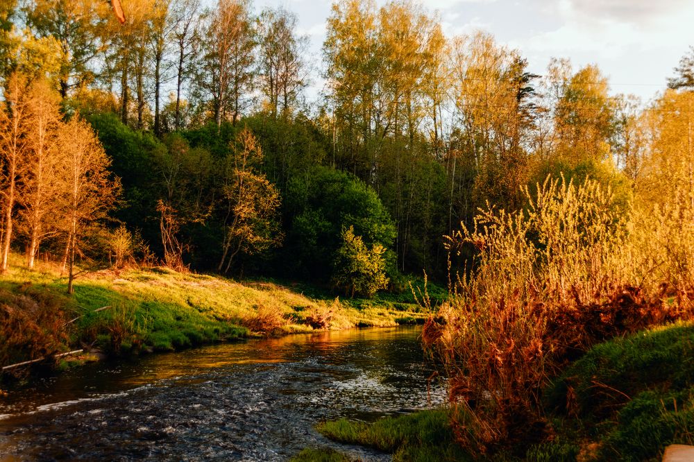 Photograph by Елена Ефимова