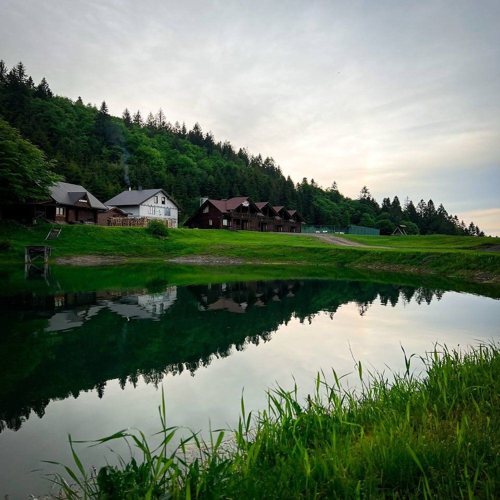 Photograph by Татьяна Пальчикова