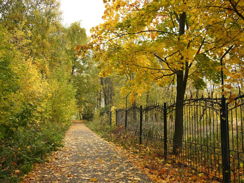 Фотография автора Клавдия Васильева