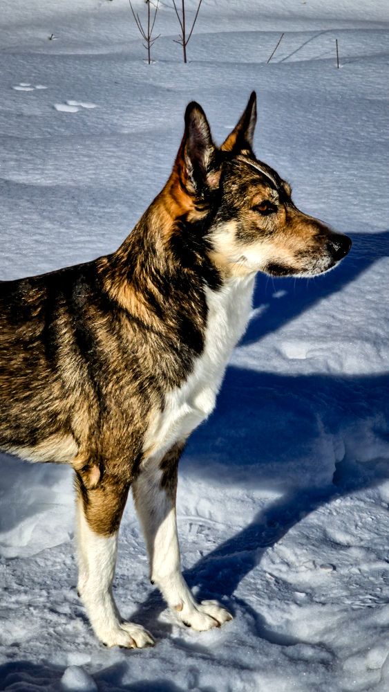 Фотография автора Всеволод Юрша