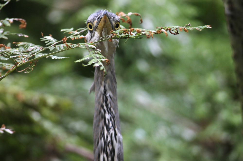 Photograph by Дарья