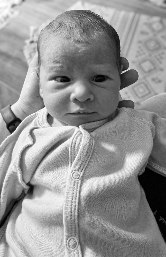 Фотография автора Всеволод Юрша