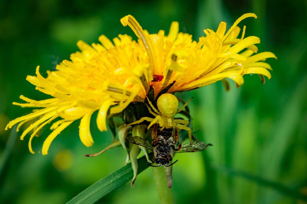 Photograph by Ольга Заповедная