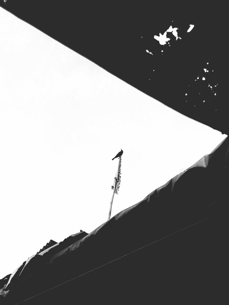 Photo #10581249
