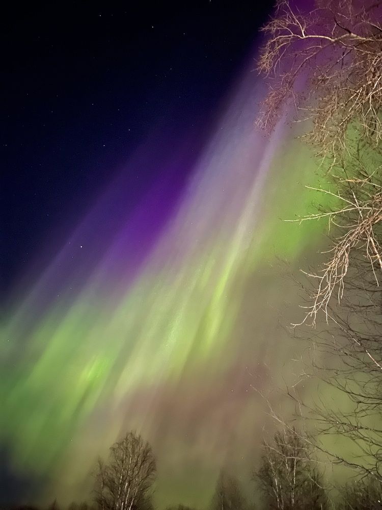 Photograph by Alina Andreevna