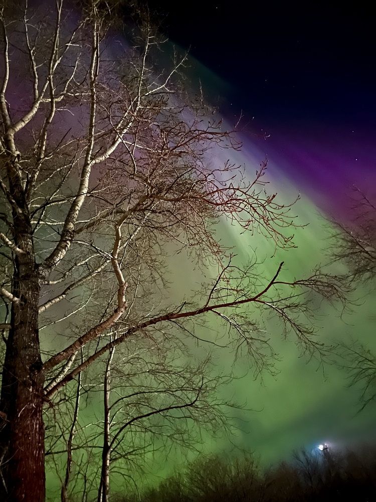 Photograph by Alina Andreevna