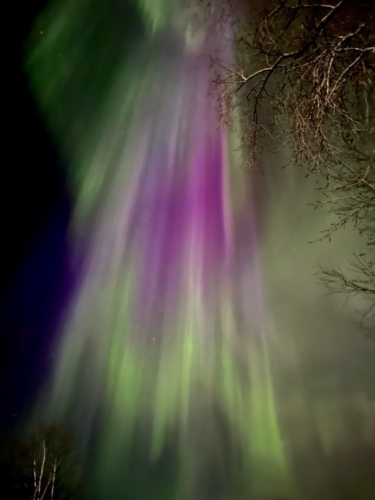 Photograph by Alina Andreevna