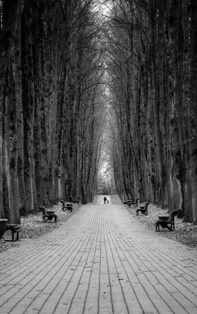 Photograph by Татьяна Сычёва