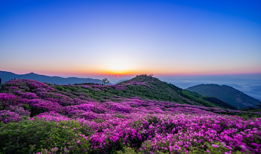 Photograph by NGUYEN QUE THANG