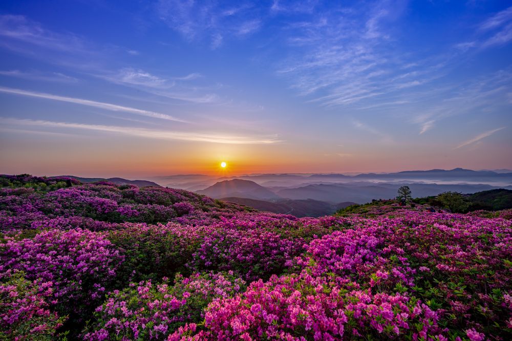 Photograph by NGUYEN QUE THANG