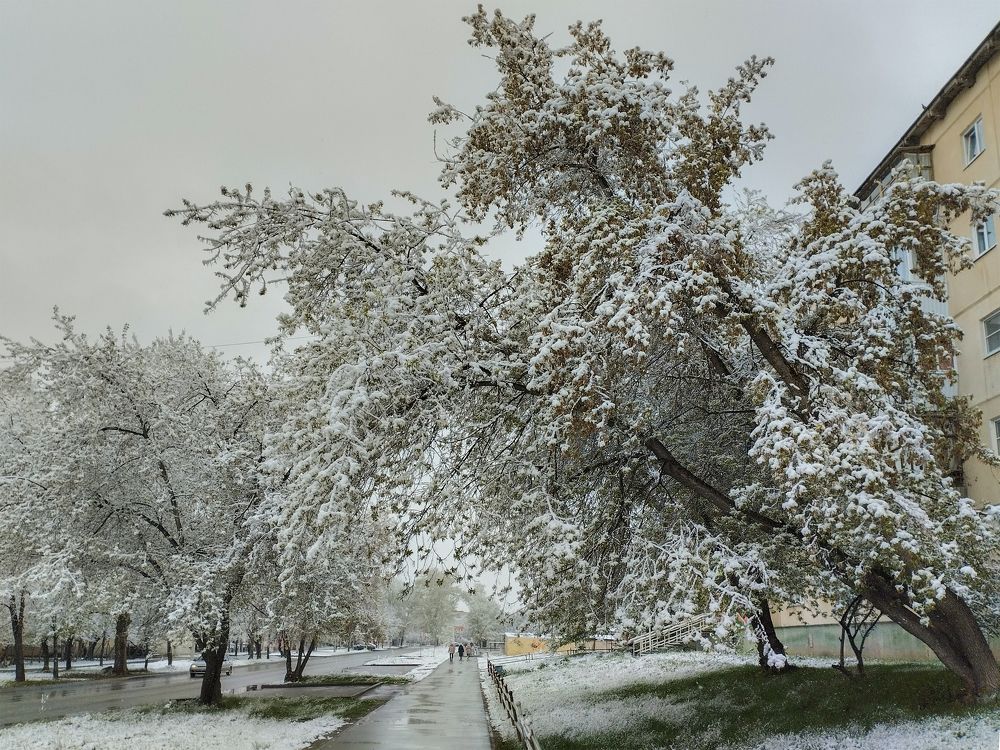 Photograph by Дмитрий