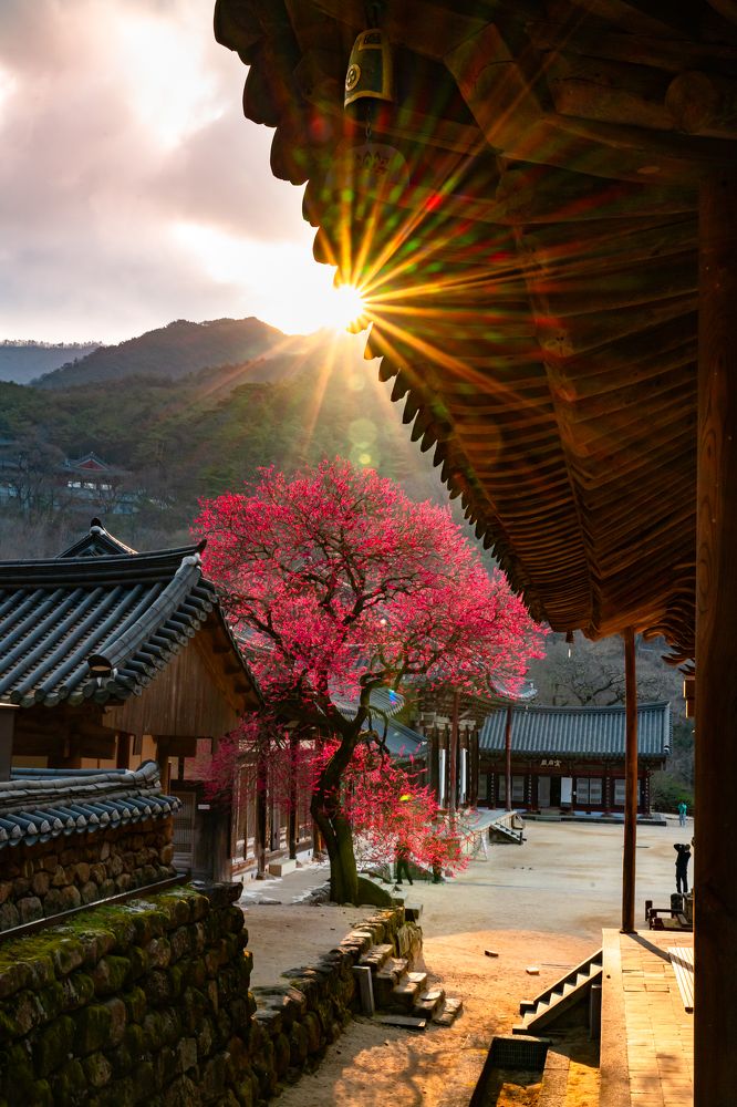 Photograph by NGUYEN QUE THANG