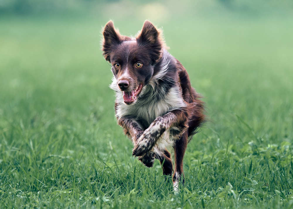 Photograph by Mikhail Khmelevskiy