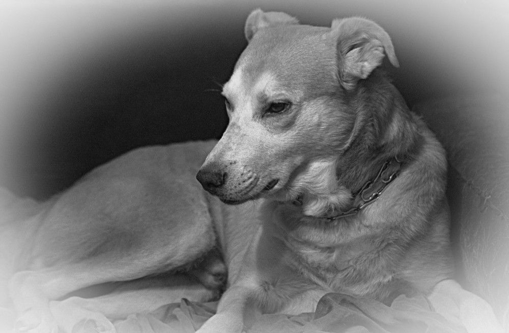 Photograph by Сергей Рапопорт