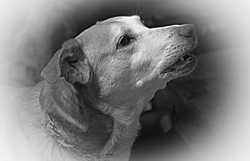 Photograph by Сергей Рапопорт