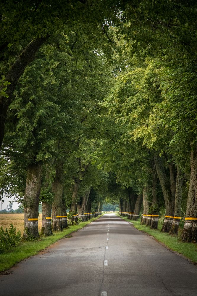 Photograph by Наталья Брюхненко