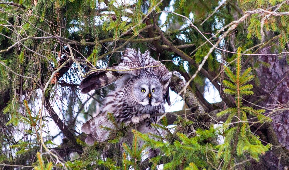 Photograph by Svetlana Porokhovnikova