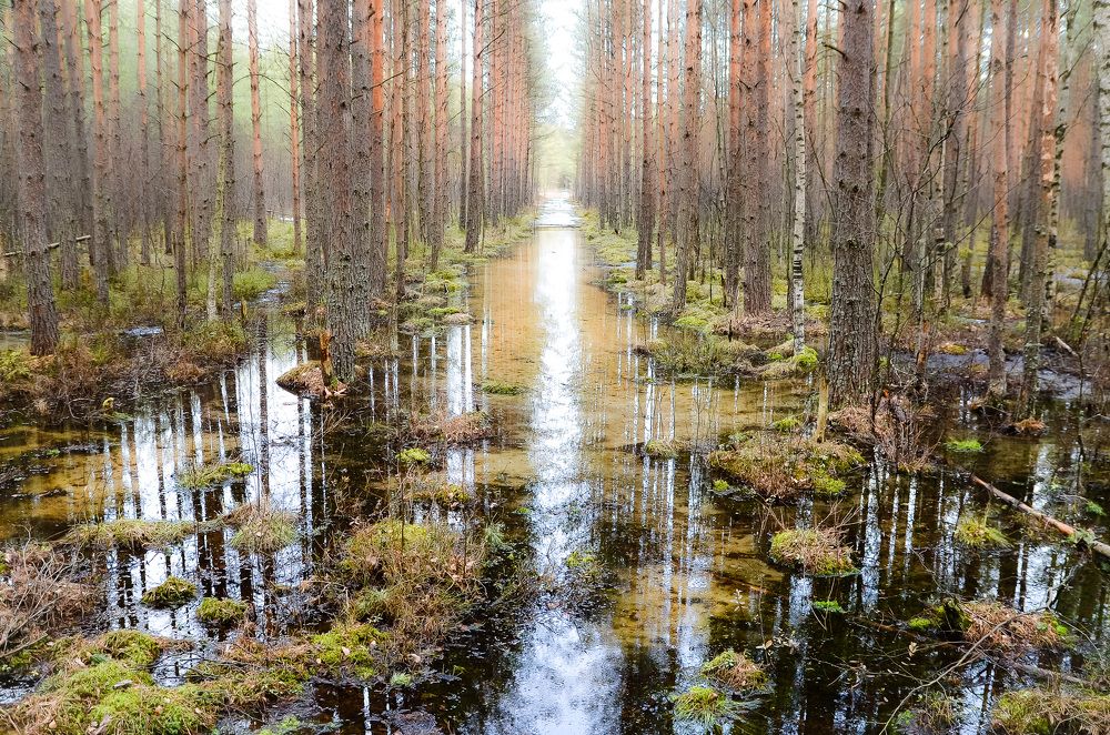 Photograph by Валерий Верещако