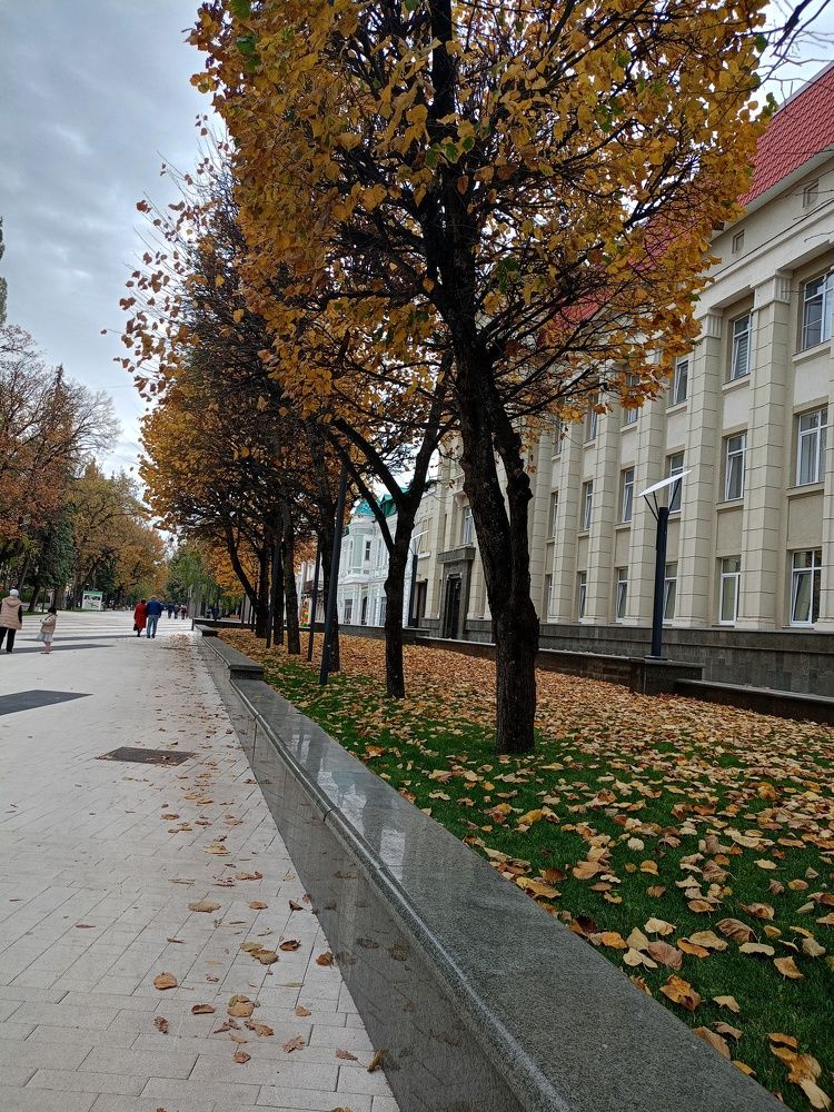 Photo #10581806