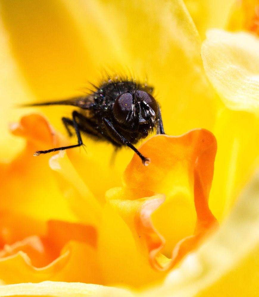 Photograph by Даниил Пузаков