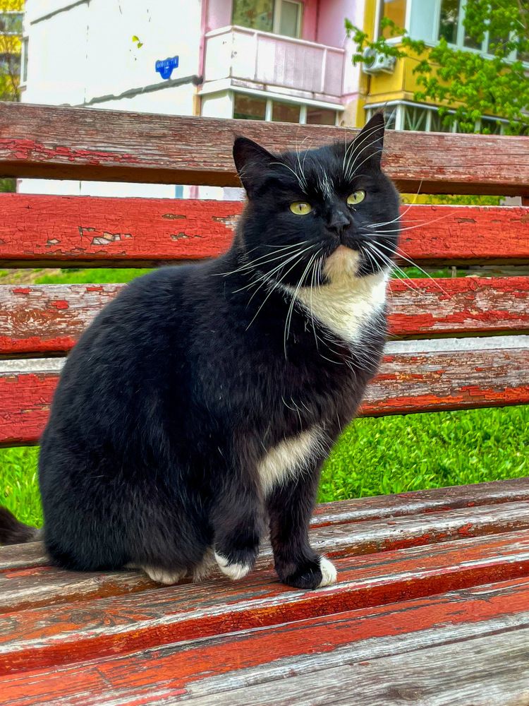 Photograph by Ольга Дорошенко