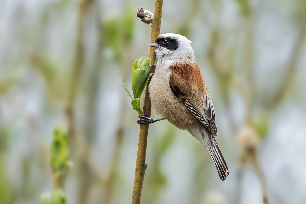 Photograph by Олег Колмаков