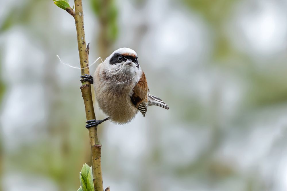 Photograph by Олег Колмаков