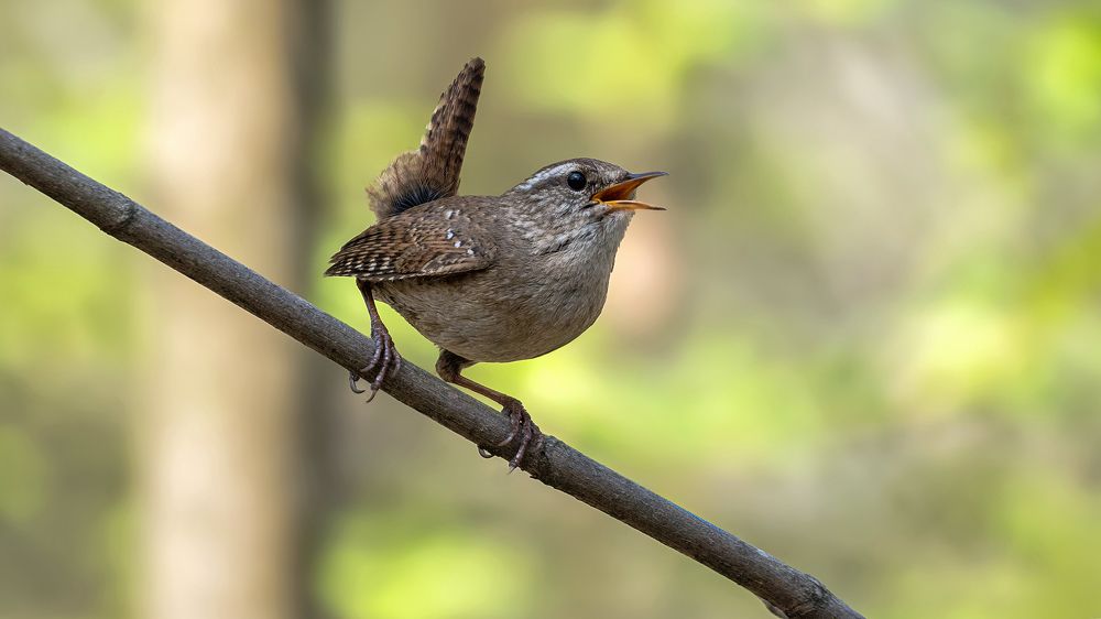 Photograph by Олег Колмаков