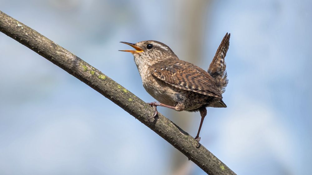 Photograph by Олег Колмаков