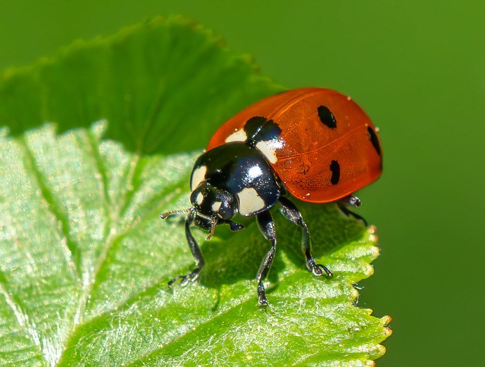 Photograph by Viktor Makarov