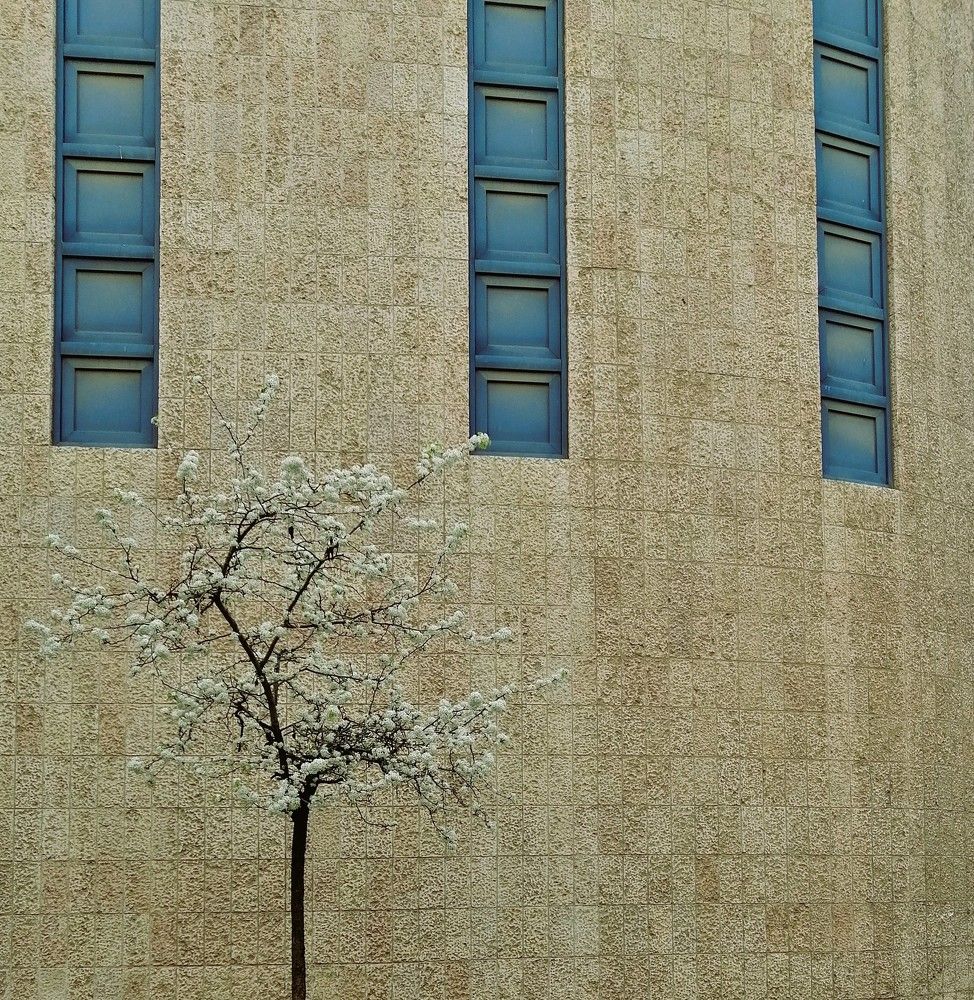 Photograph by Marina Eremin