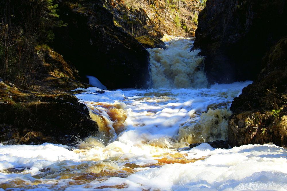 Photograph by Ирина Осипова