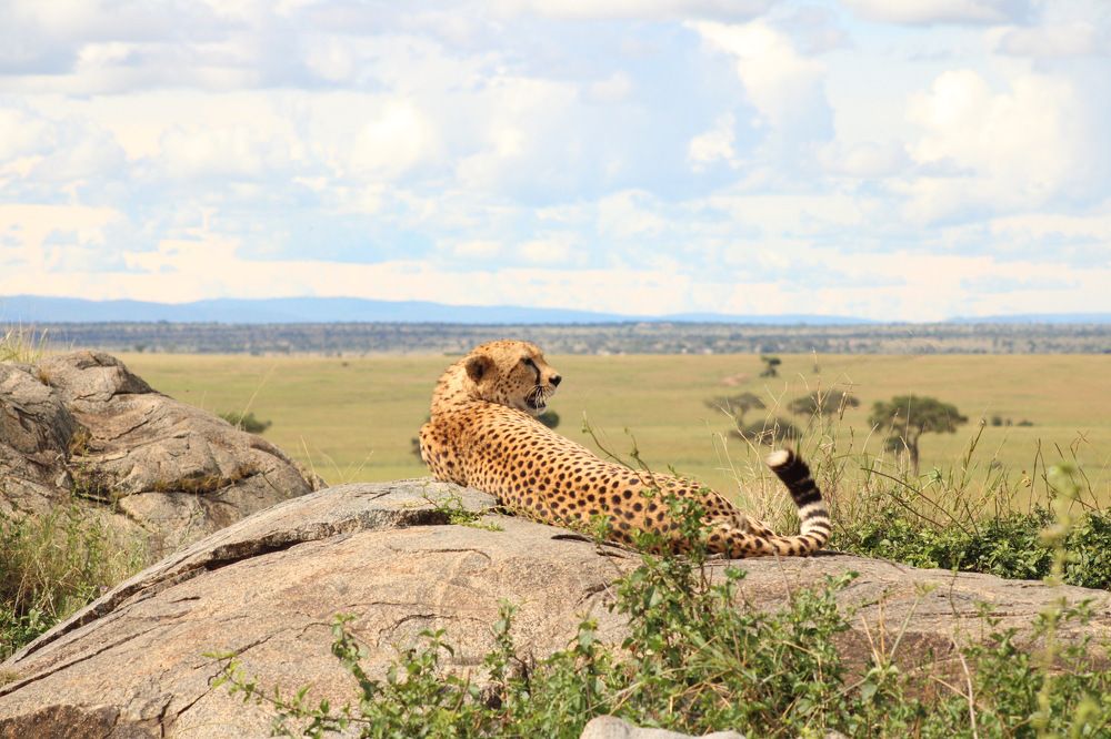 Photograph by Magassa Photography