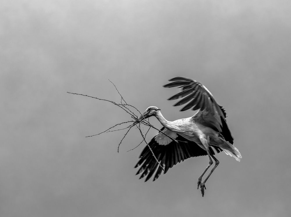 Photograph by Светлана Солдатченкова