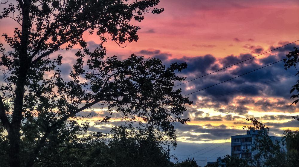 Photograph by Алексей Зелянин