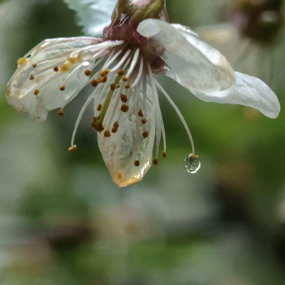 Photograph by Алексей Зелянин