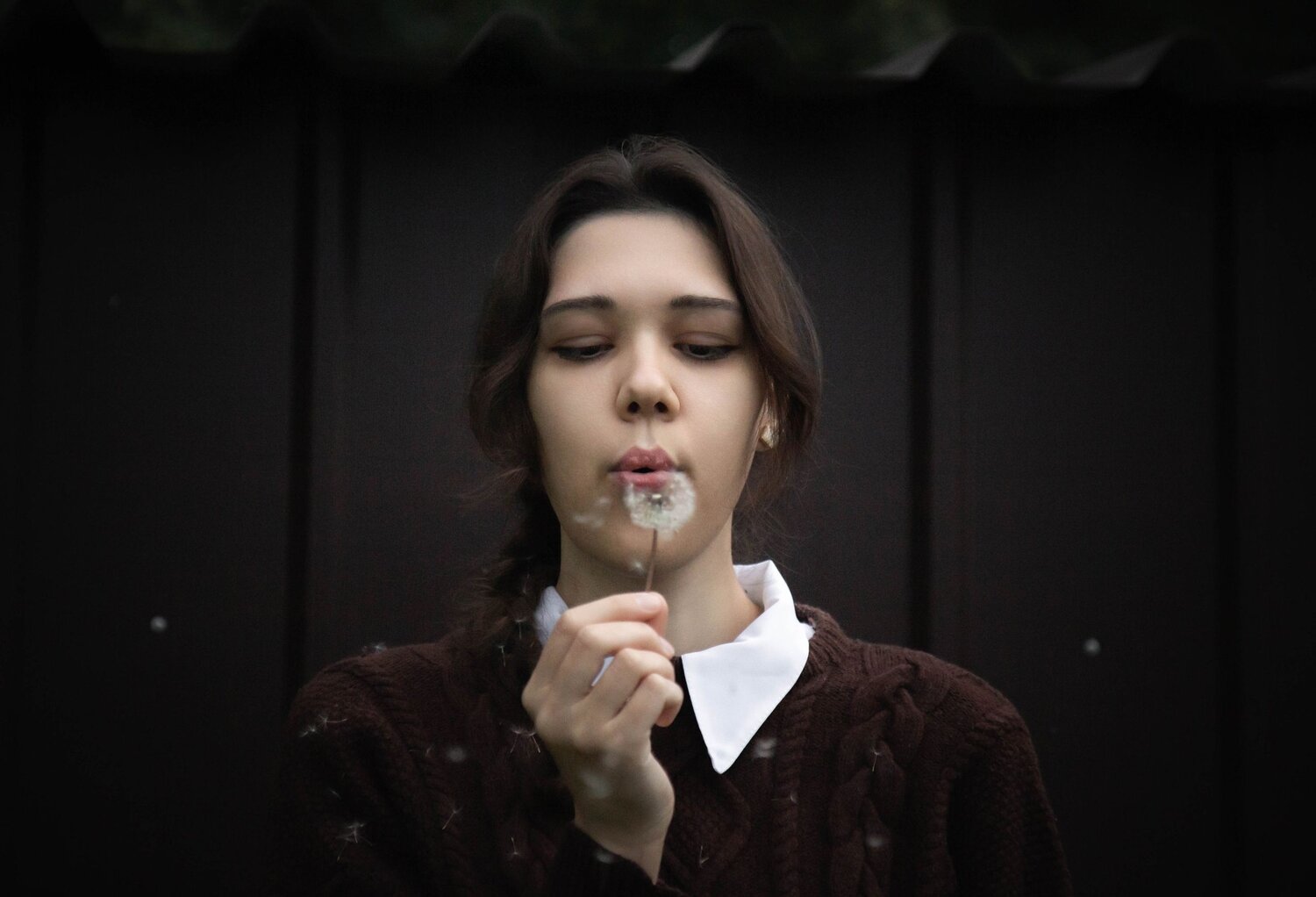 Photo #10582229