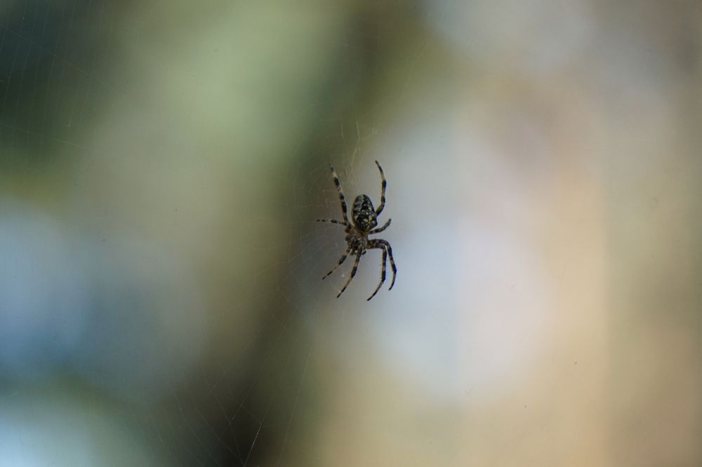 Photograph by Игорь Семеновский