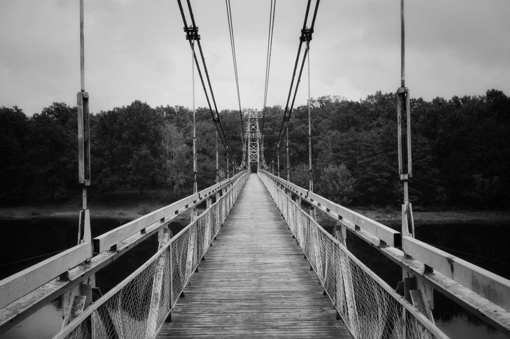 Photograph by Юлия Полуяхтова