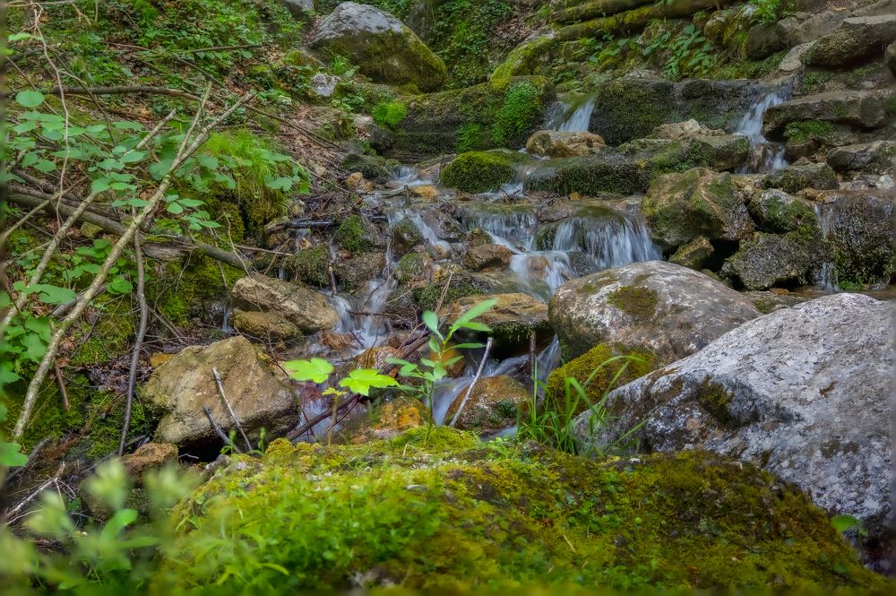 Photograph by Manuel Prielinger